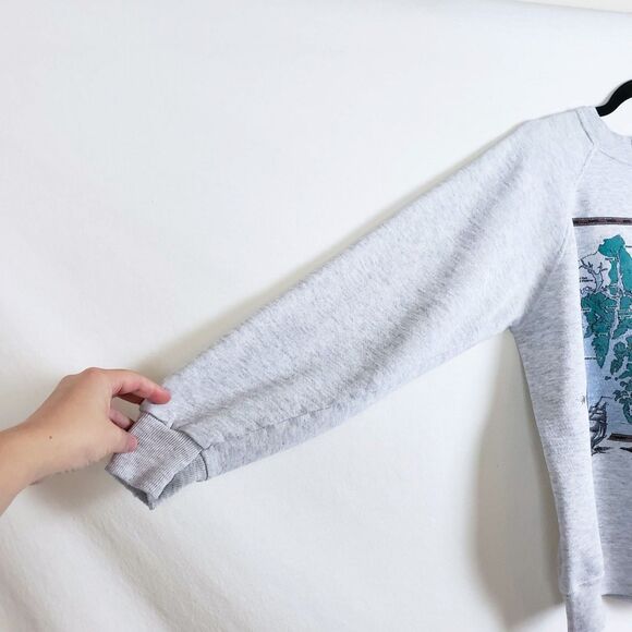 Vintage Alaska Sweatershirt Hanes Mens M Gray Inside Passage Map Tourist Raglan - Picture 6 of 12